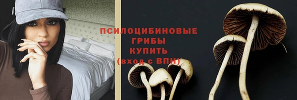 стафф Волосово