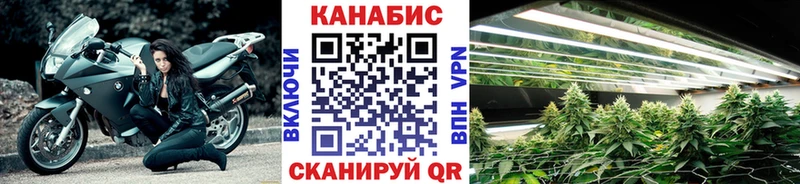 Каннабис White Widow закладка Заречный